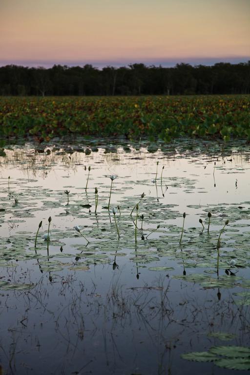 Aurora Kakadu Hotell Exteriör bild