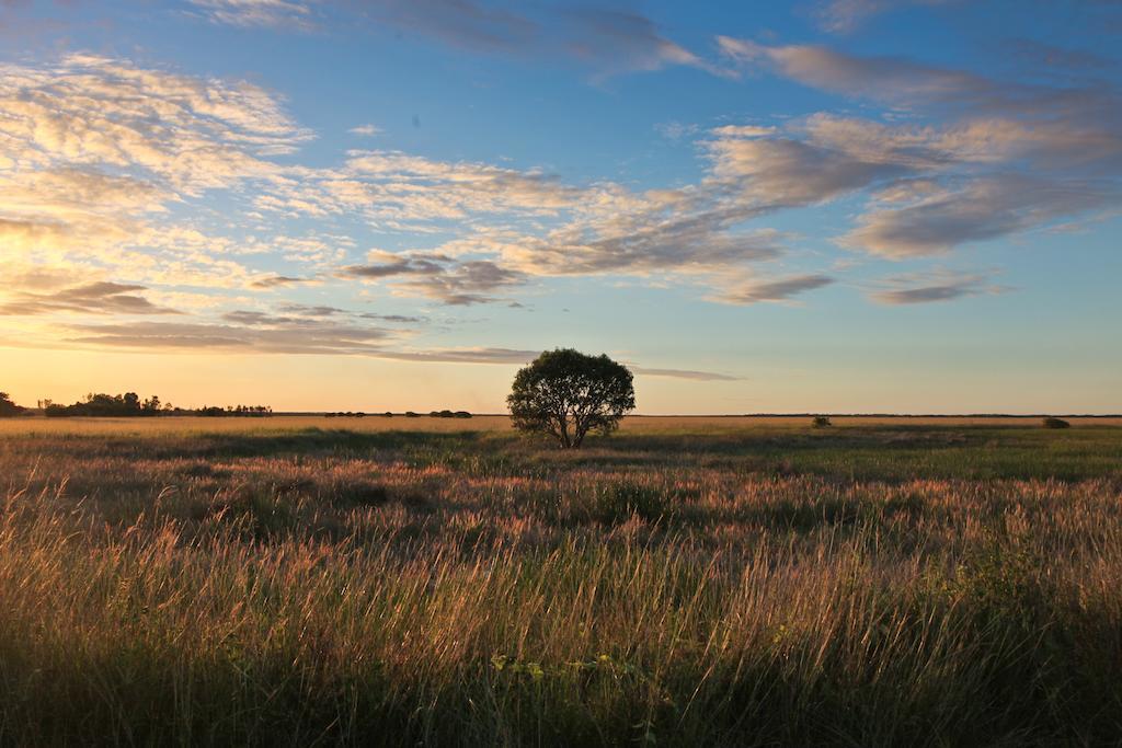 Aurora Kakadu Hotell Exteriör bild